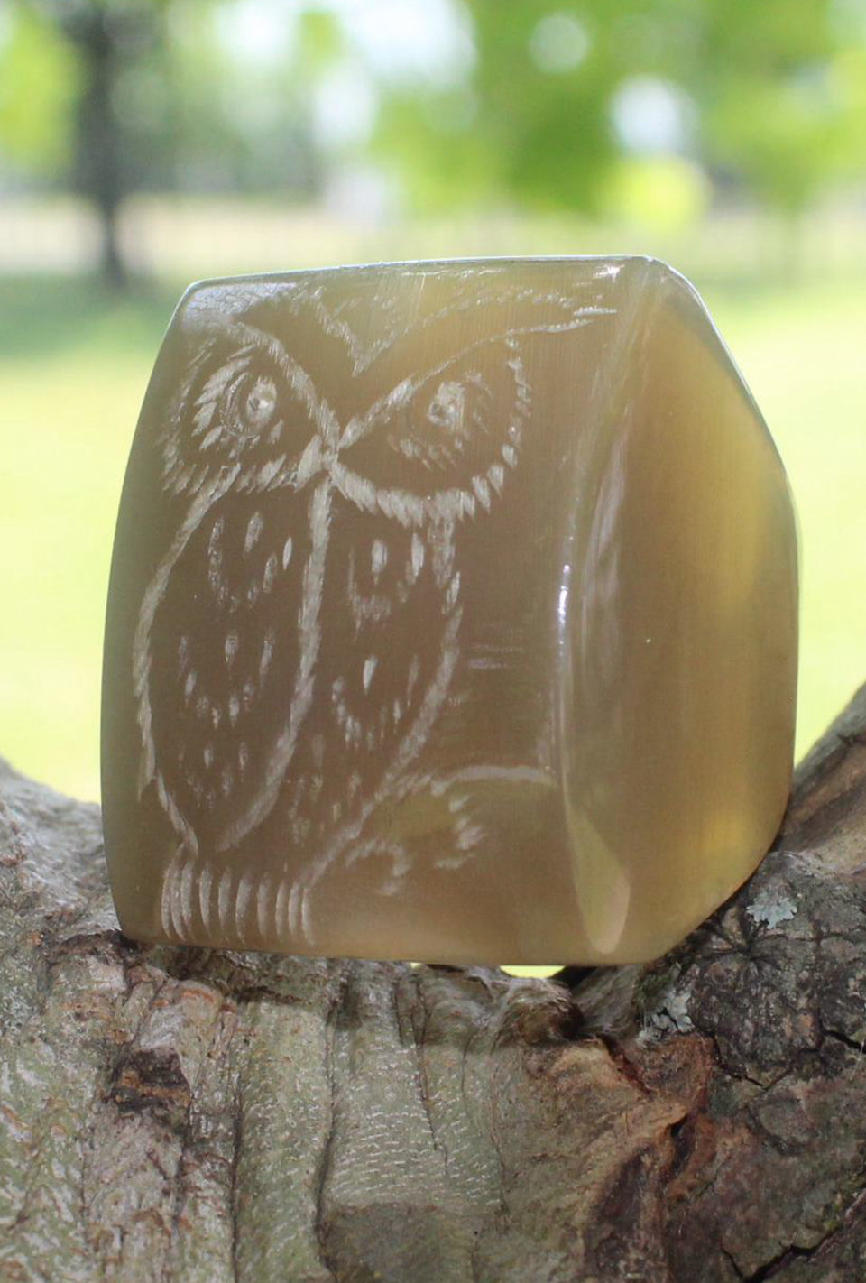 Buffalo Horn Ring Flaco the owl carved tribute