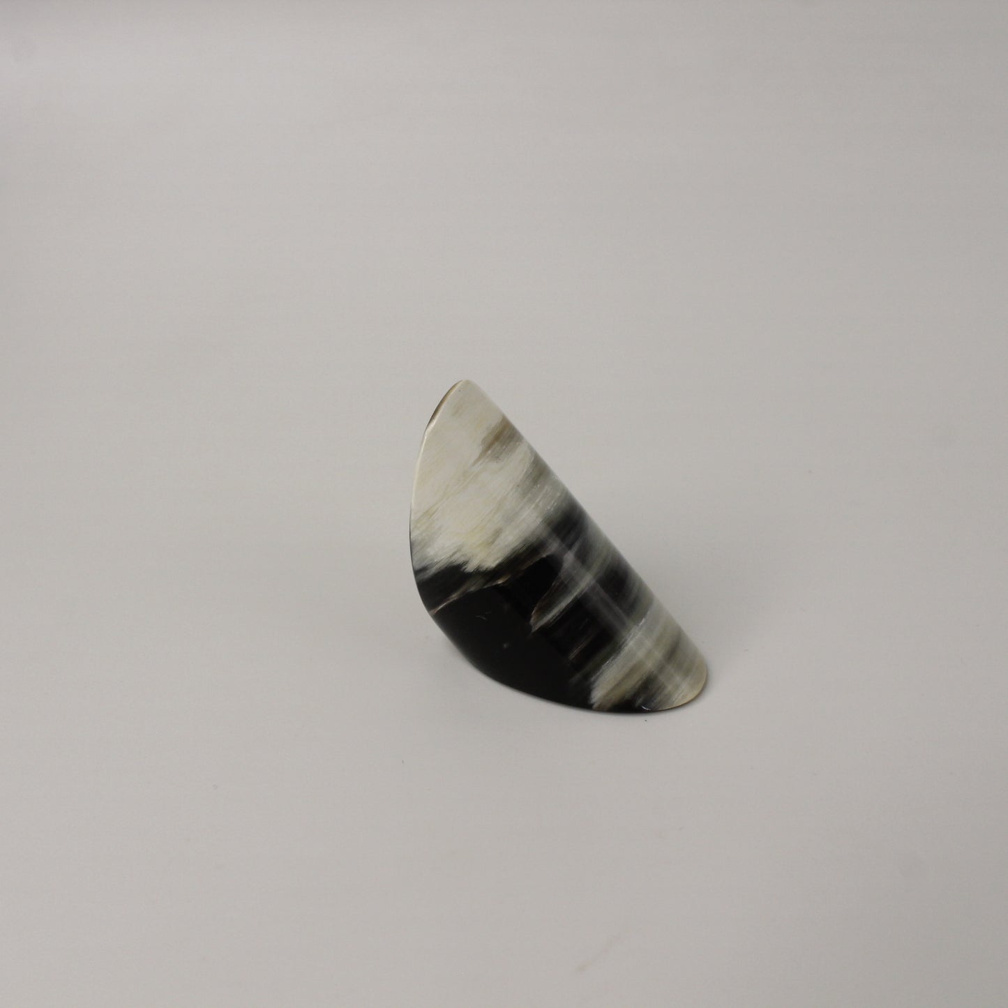 Oversized Cigar Band Horn Ring