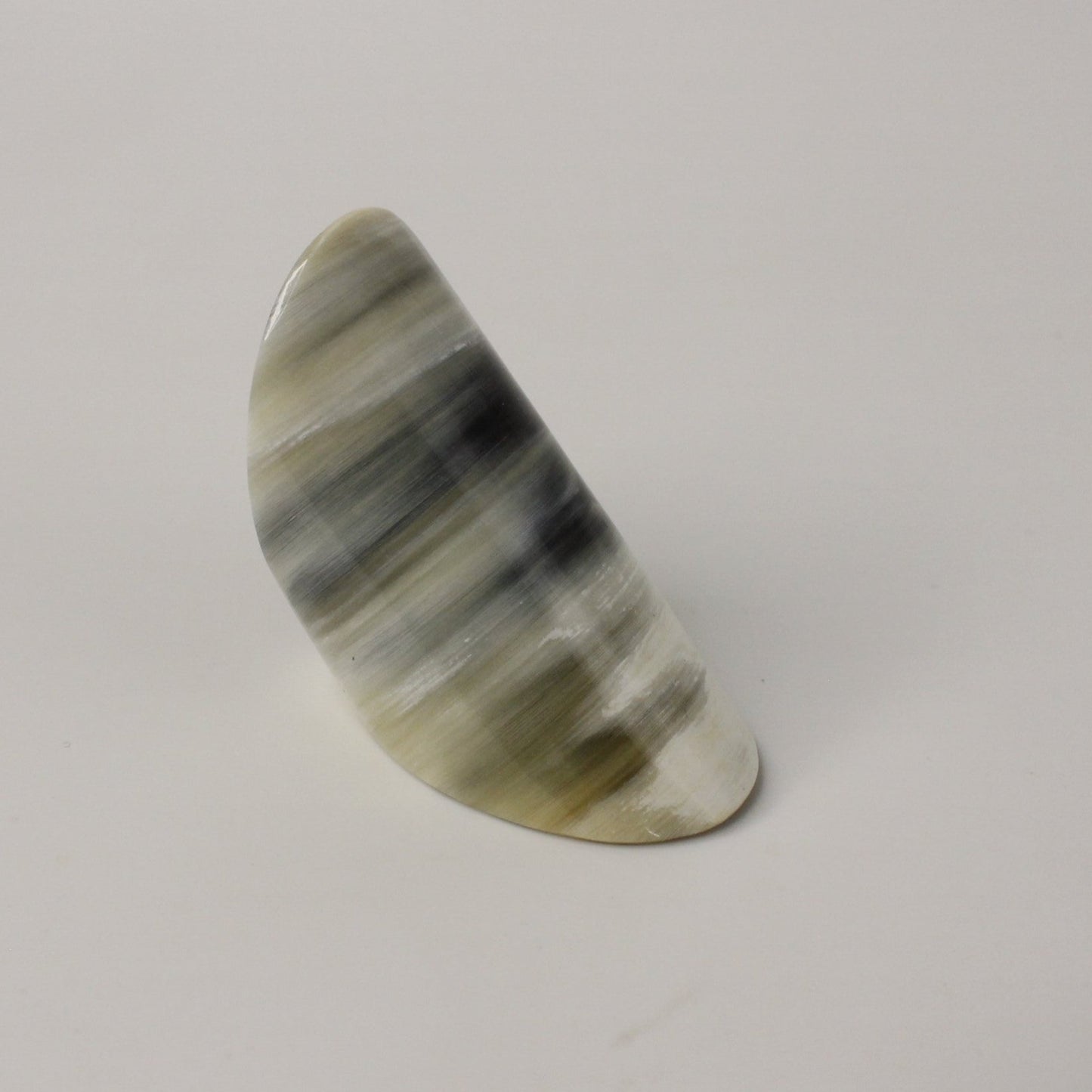 Oversized Cigar Band Horn Ring