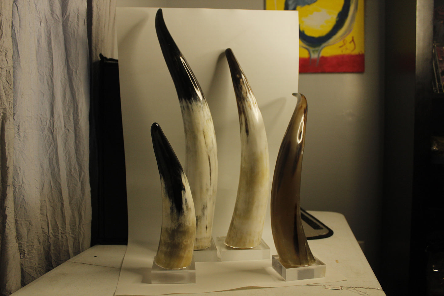 Buffalo Horn Tip on Acrylic Stand – Handcrafted Natural Home Décor Accent