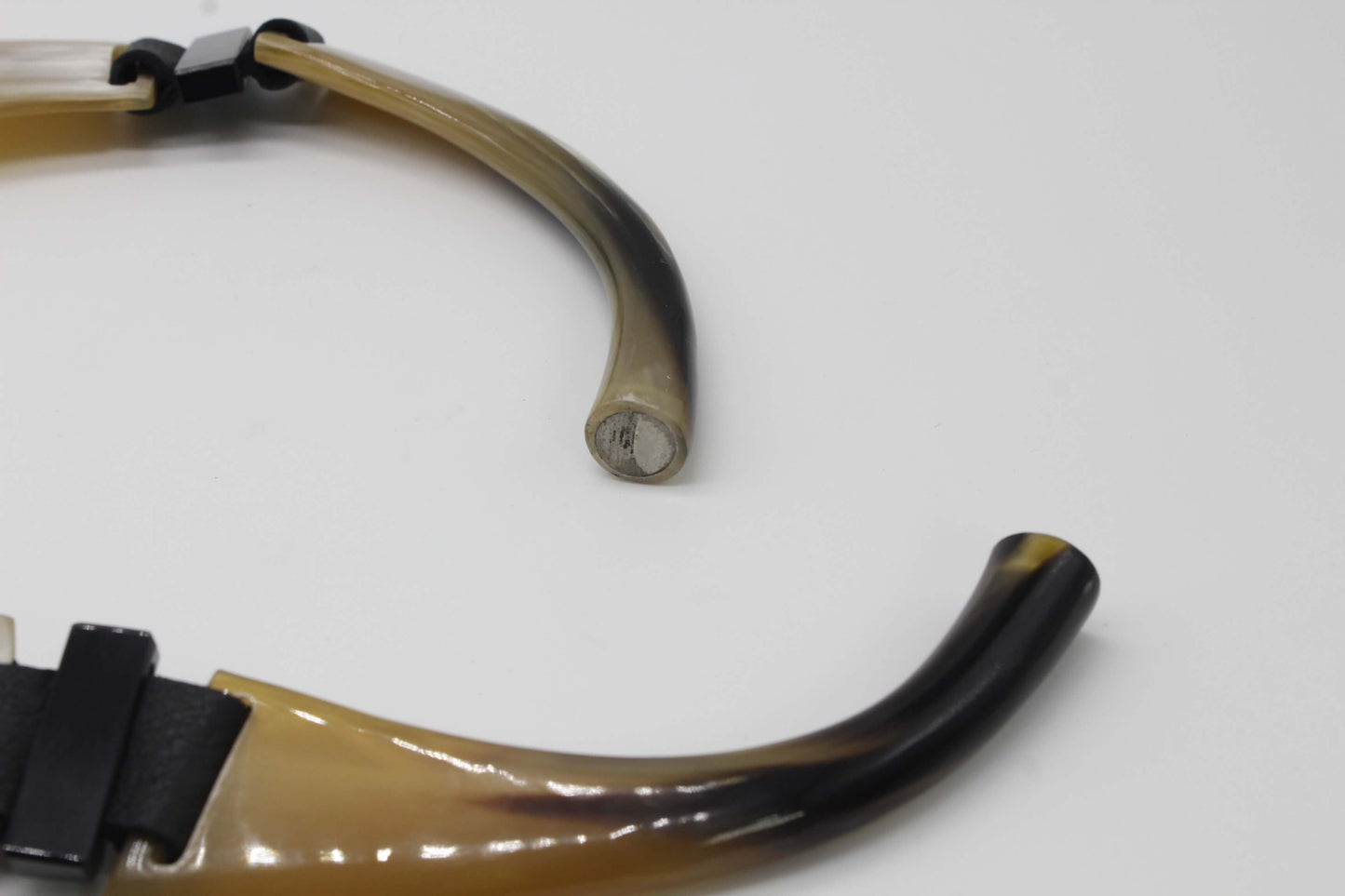Handcrafted Oversized Watusi Cattle Horn Shield Collar with Magnetic Closure