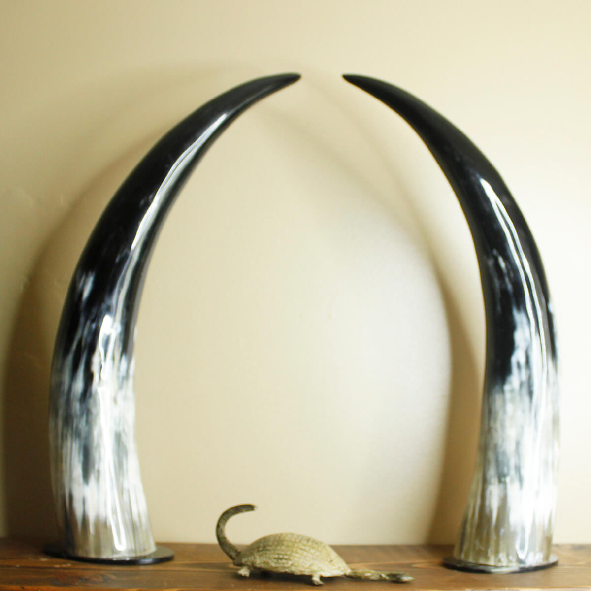Set of 2 Horns 19"