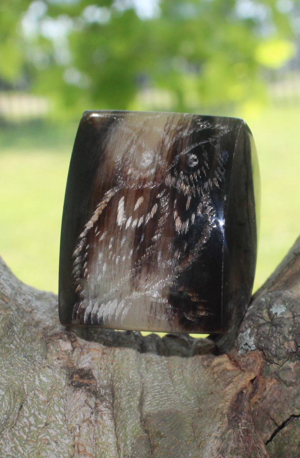Buffalo Horn Ring Flaco the owl carved tribute