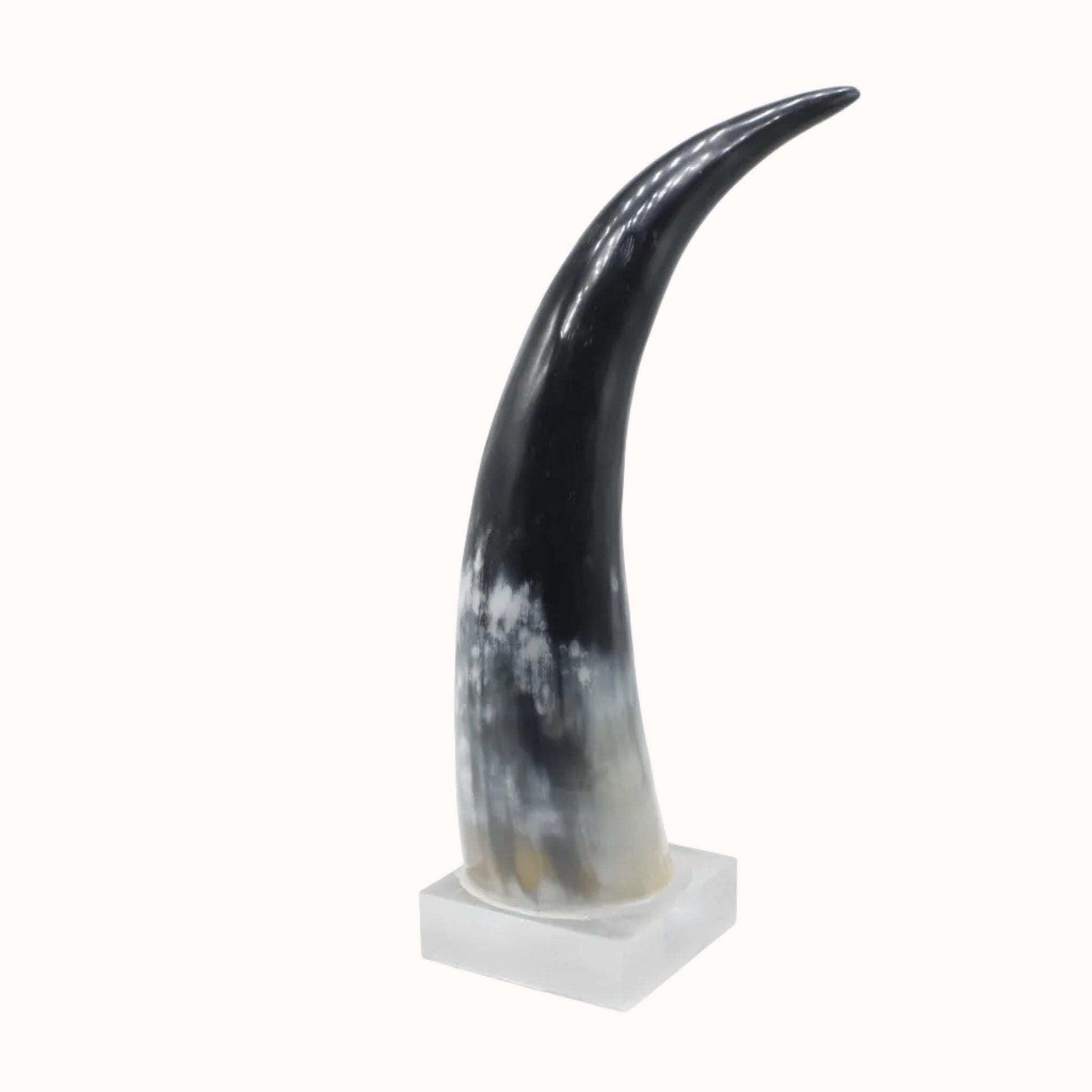 Black and gray horn on a white pedestal against a white background