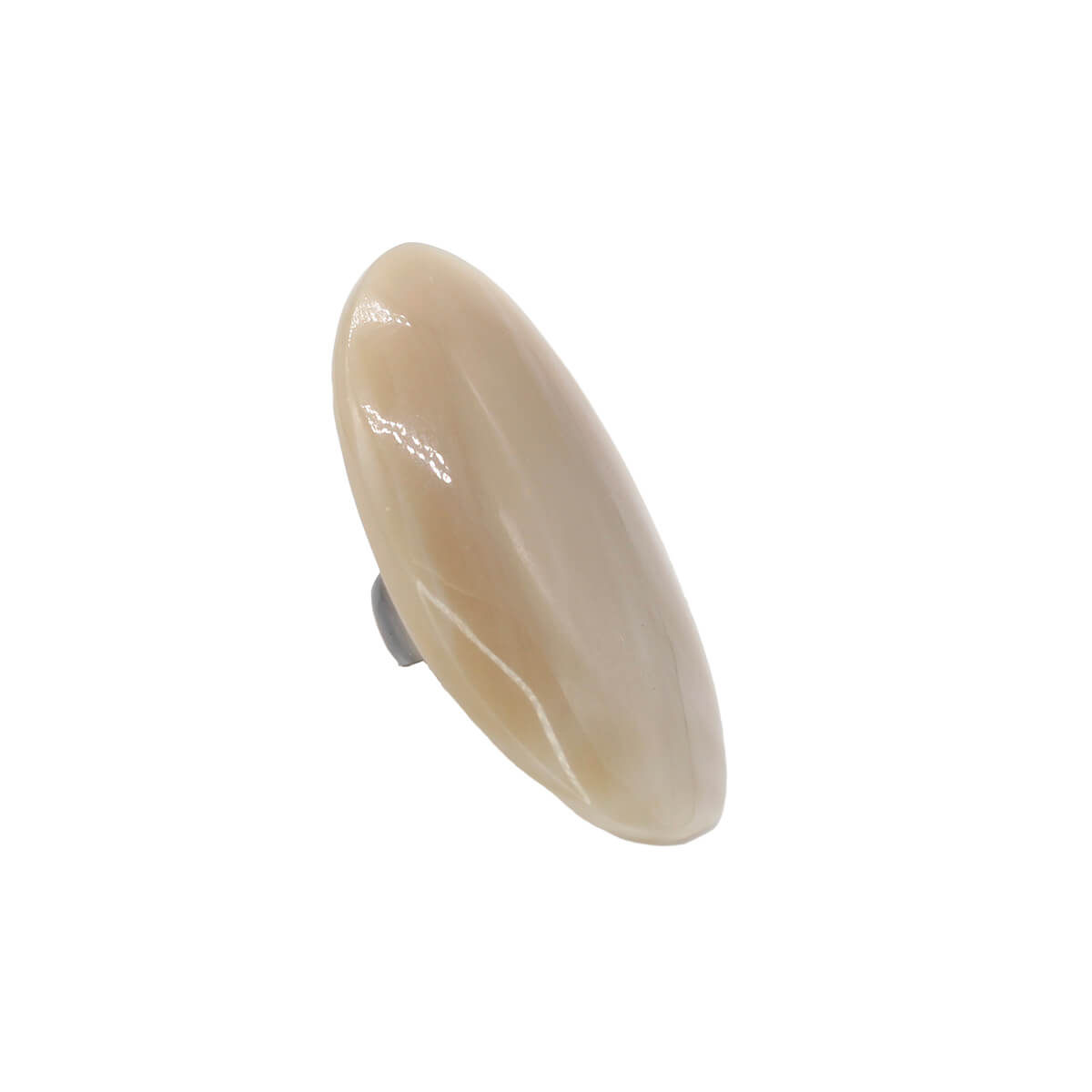 Handcrafted XL Oval Watusi Cattle Horn Knuckle Ring for Women